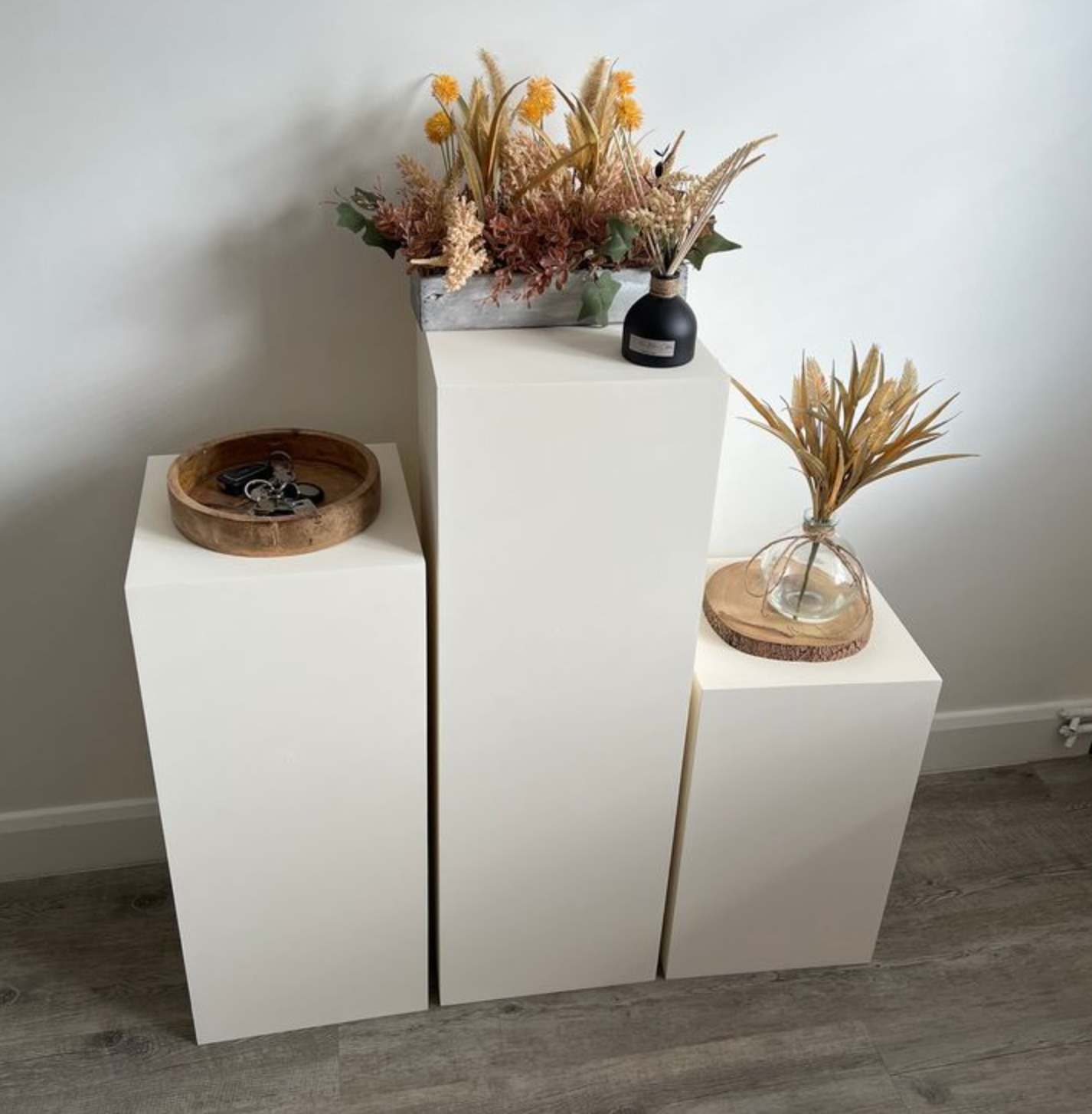 Cardboard Plinths & Pedastals