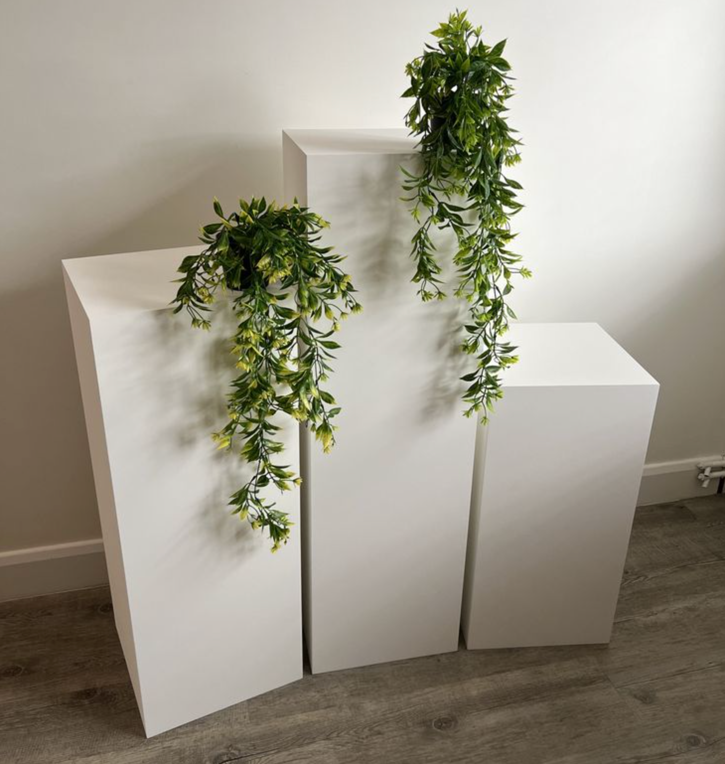 Cardboard Plinths