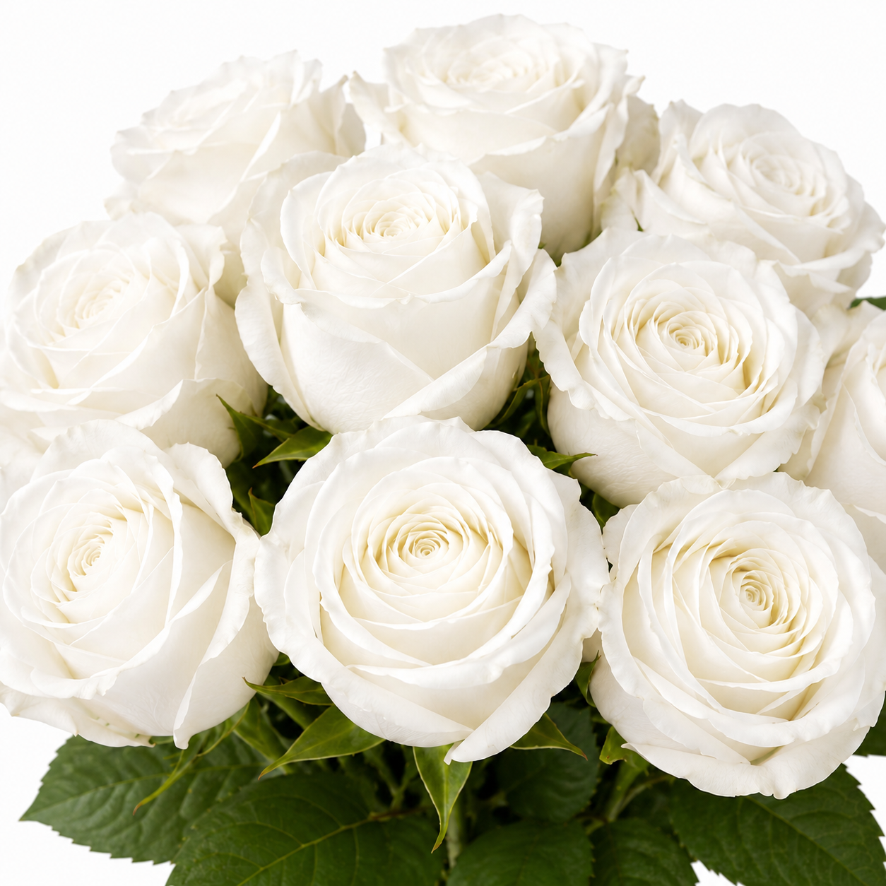 Artificial Roses - Set of 10