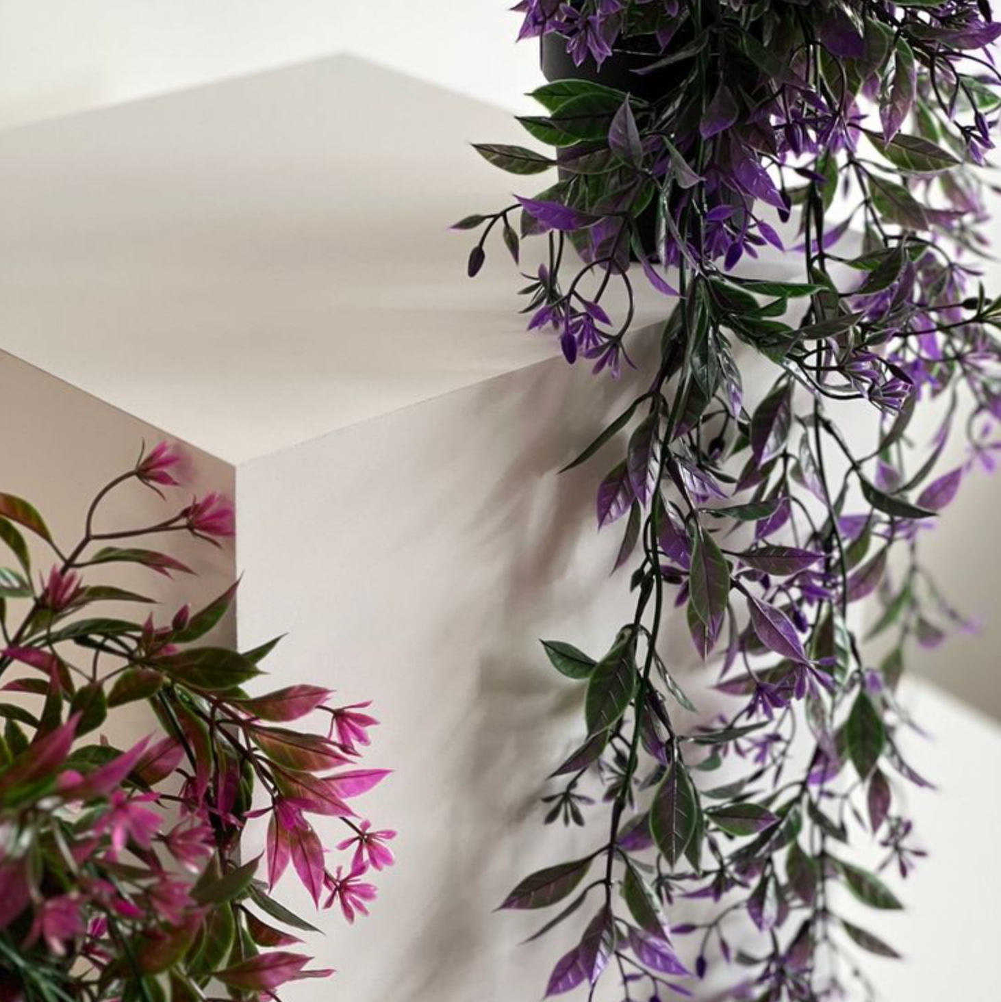 Cardboard Plinths