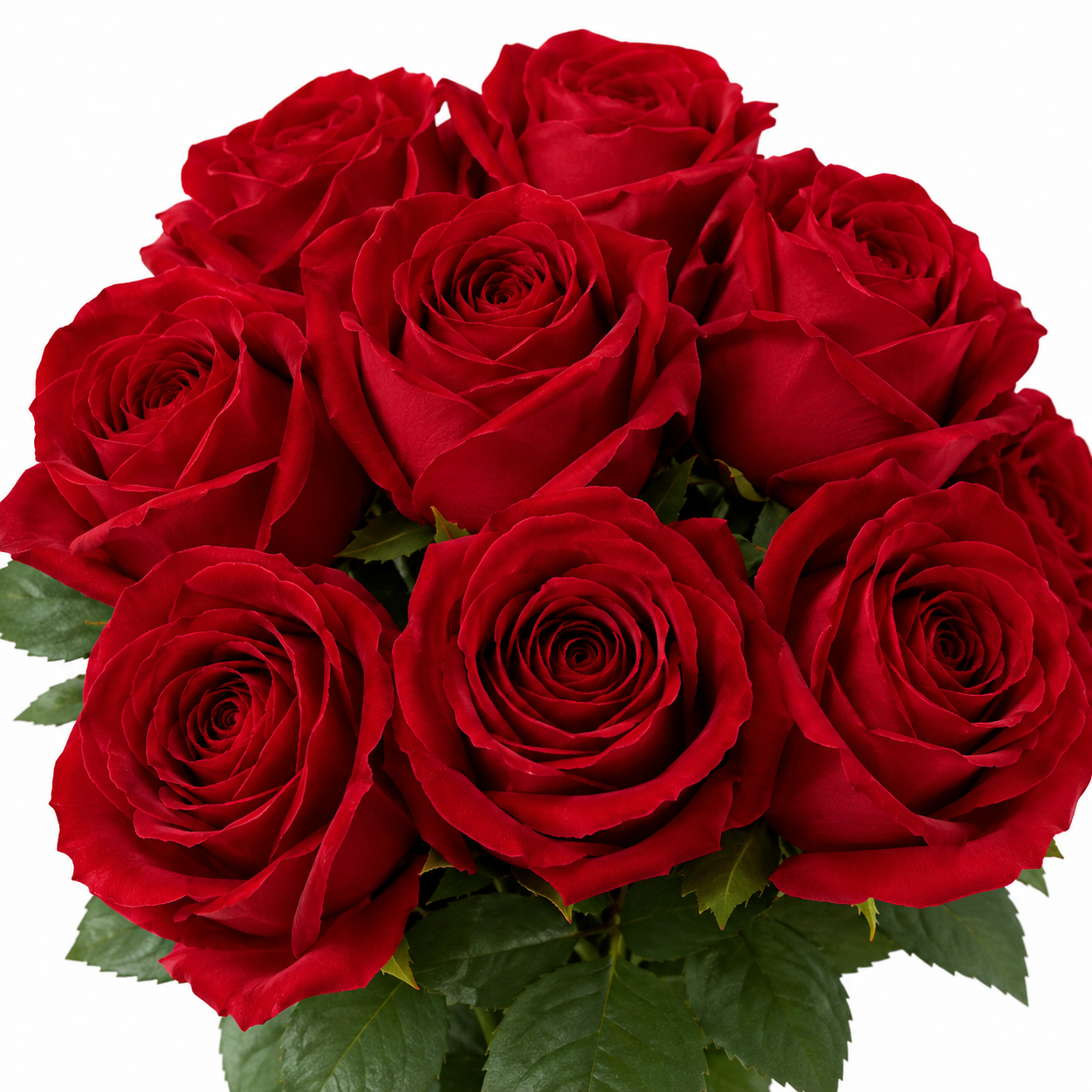Artificial Roses - Set of 10